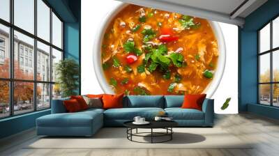 [Transparent Background PNG]Top view of delicious chicken noodle soup with vegetables and greens Wall mural